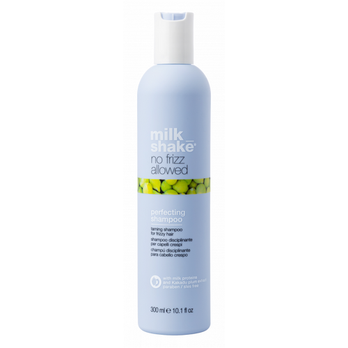 NO FRIZZ PERFECTING SPOO 300ML